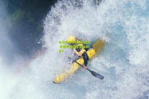 申花老爷车开出新活力 死磕杯赛冠军更为前途？